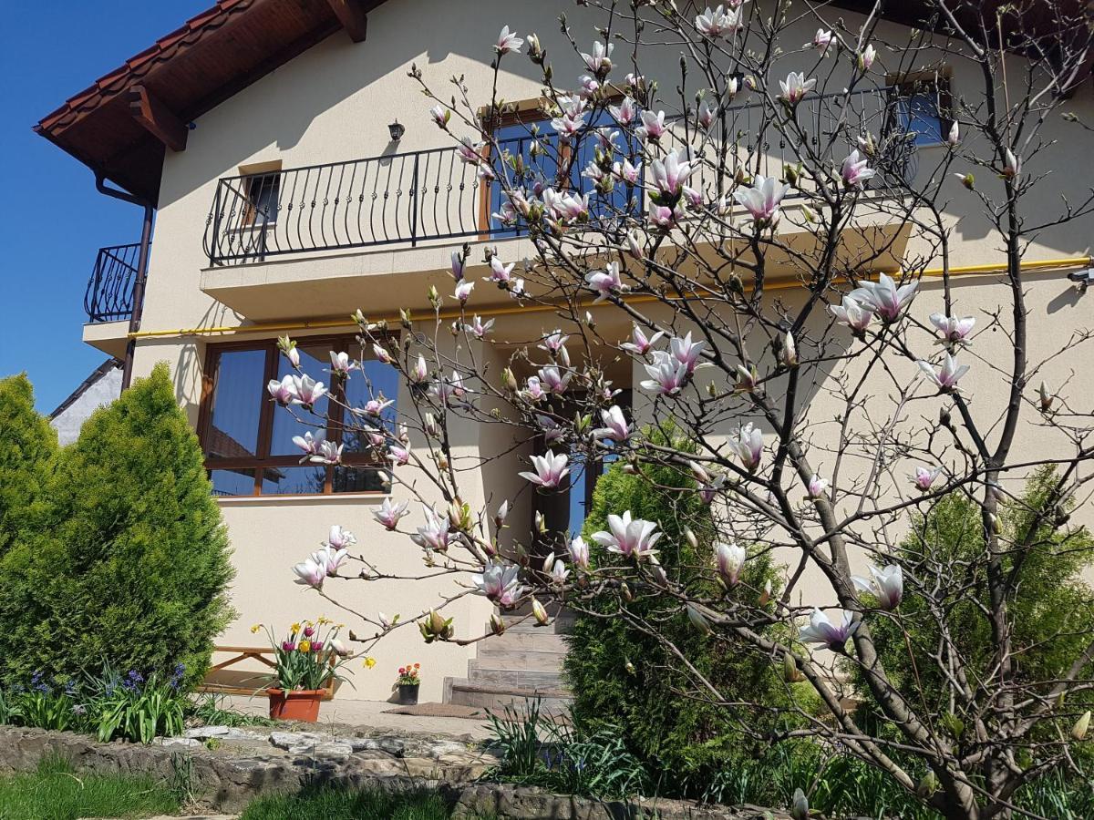 Casa Irinella Bed and Breakfast Satu Mare Exteriör bild
